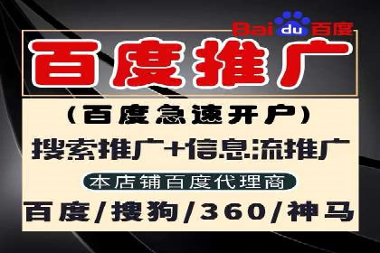 行业领先企业的网站sem托管实践